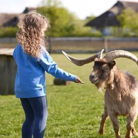 Im Der Valk In Linstow Dobbin-Linstow