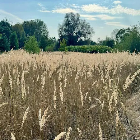 Im Der Valk In Linstow